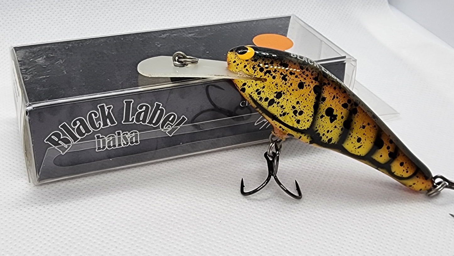 SS Shad