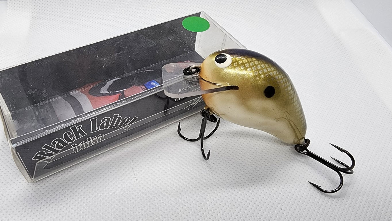 black label fishing lures CBS 2