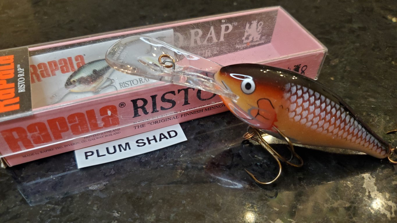 Risto Rap 8
