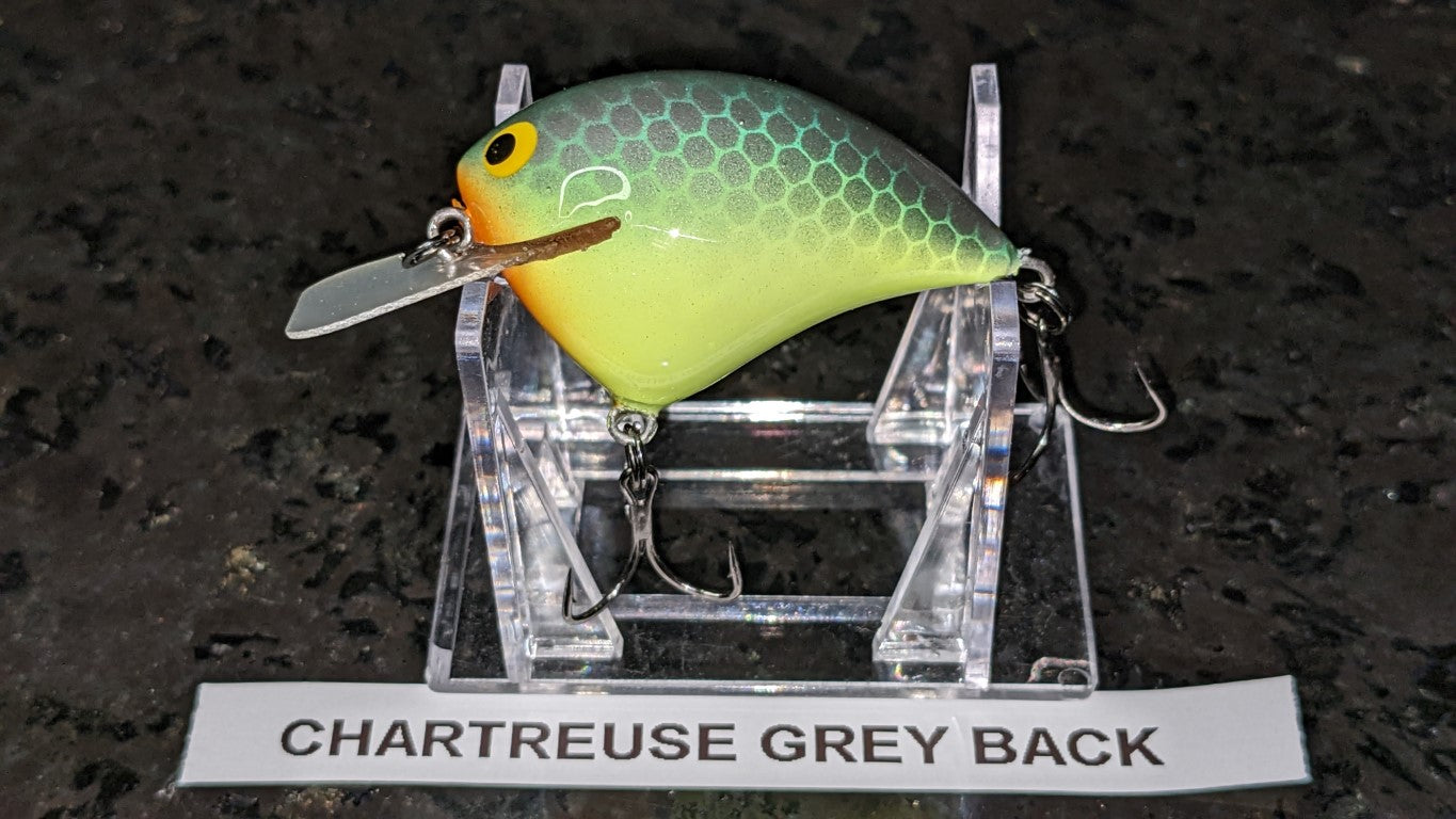 Lil Pudge Squarebill