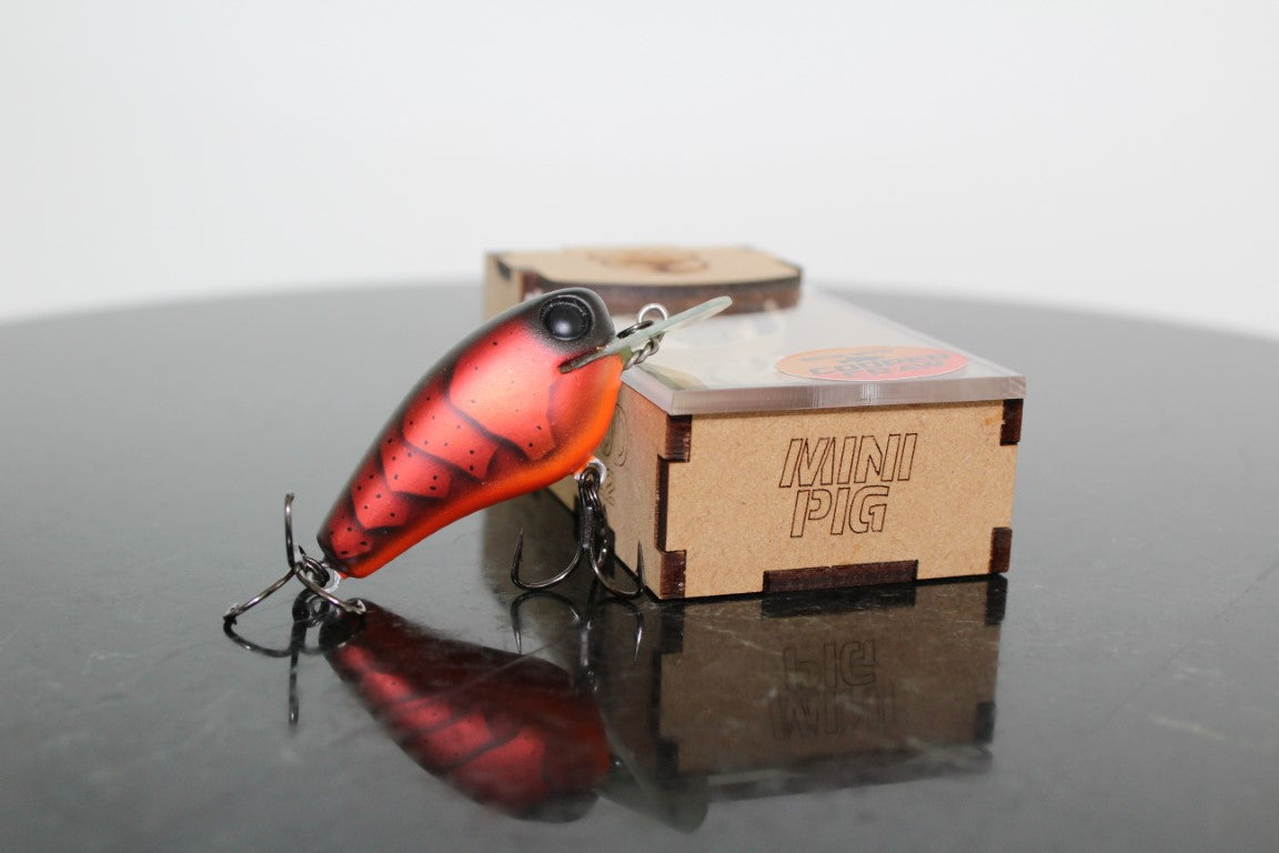 Mini Pig