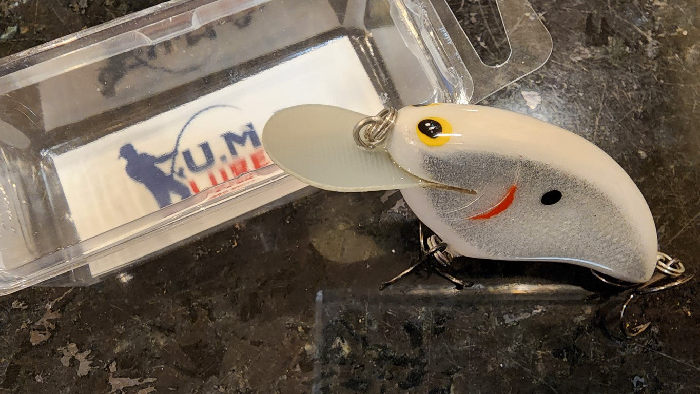 Shallow Skinny Shad