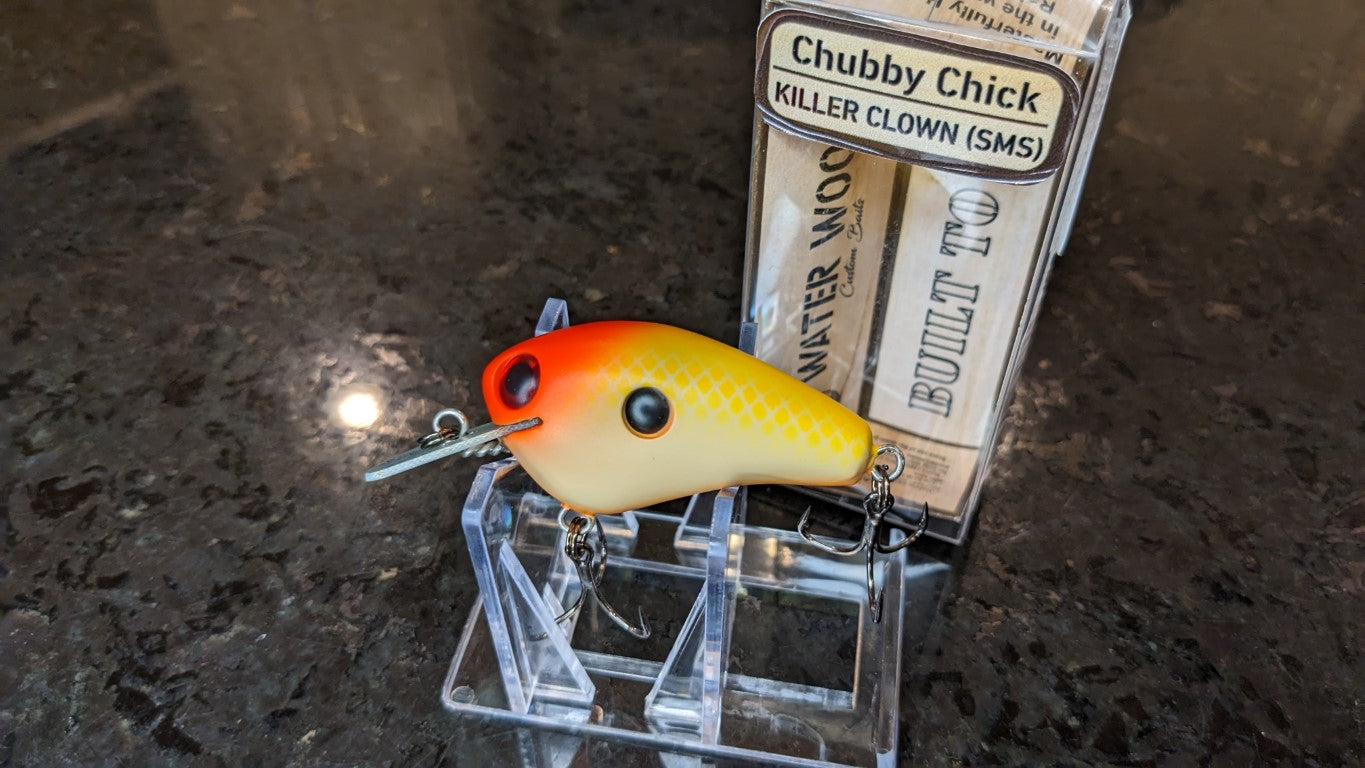 Chubby Chick