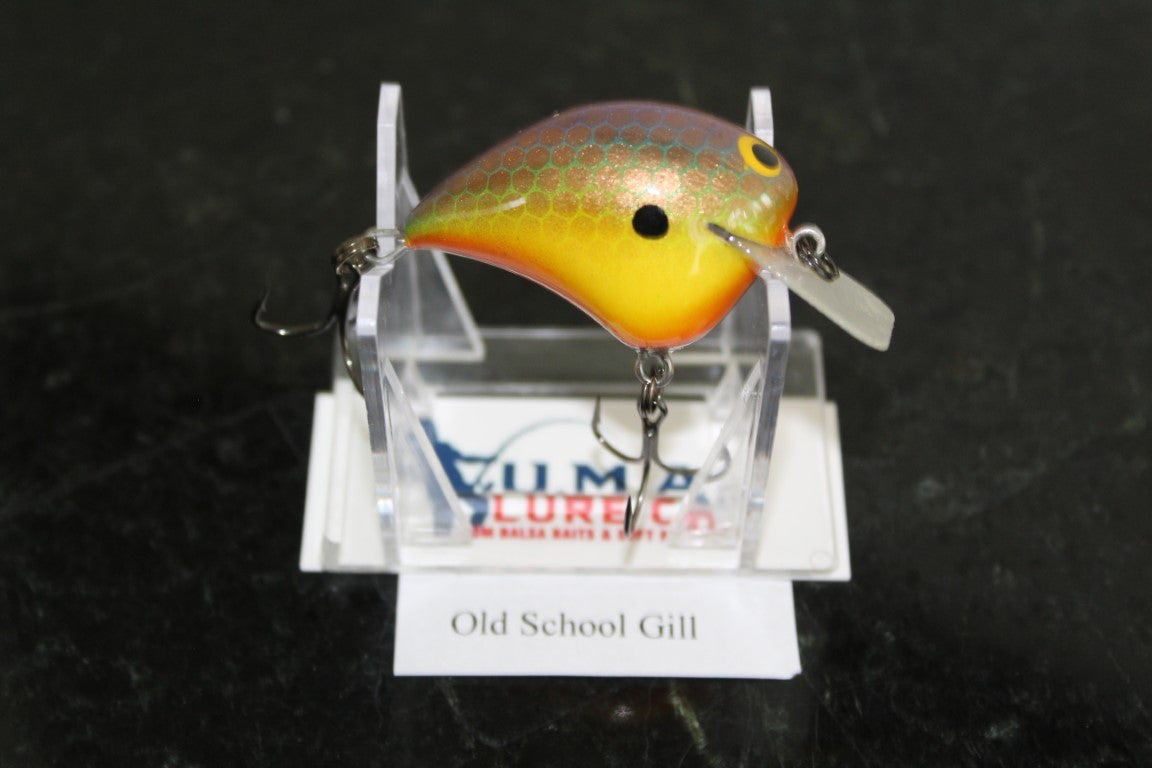 Lil Pudge Squarebill